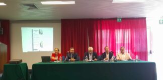 Scuola di Alta Formazione Monfalcone