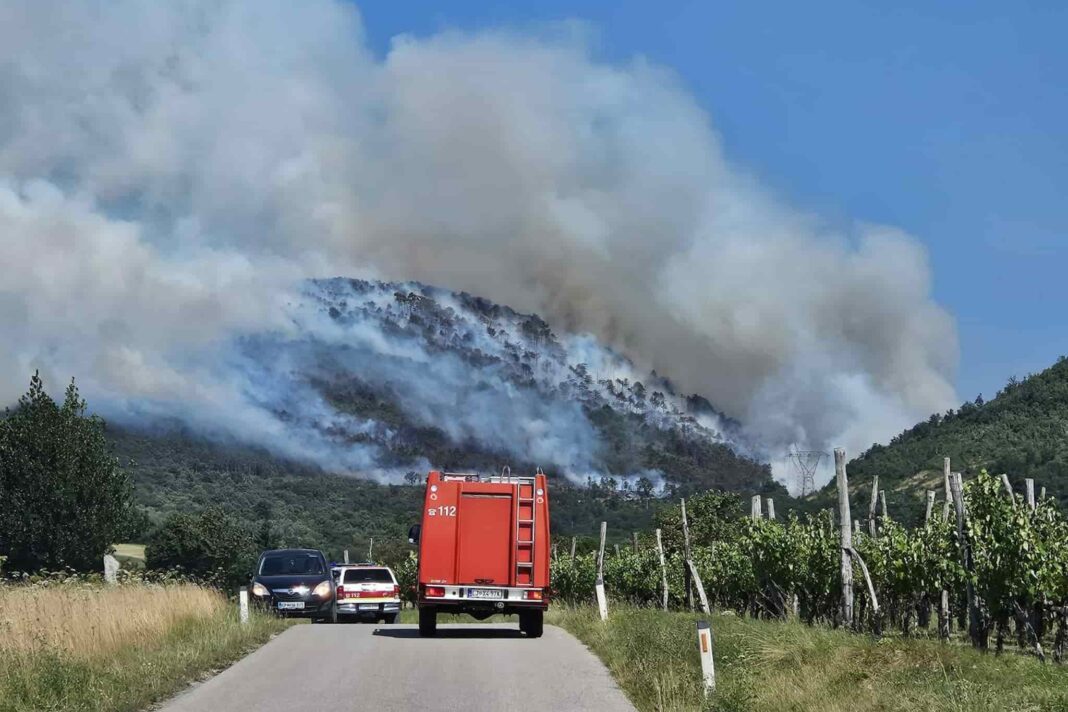 Incendio boschivo in Slovenia