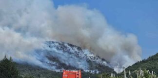 Incendio boschivo in Slovenia