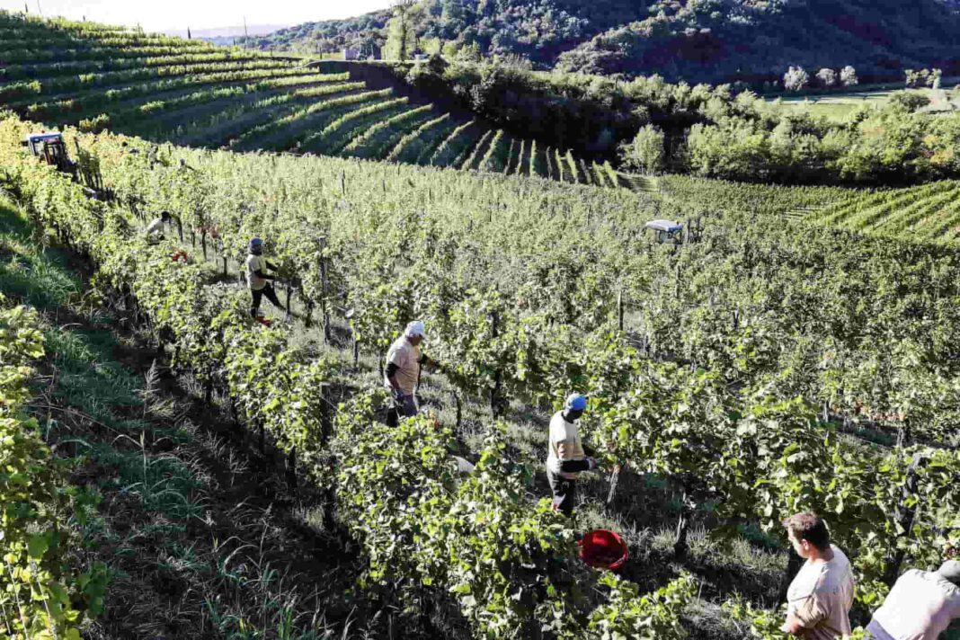 contratto di appalto Confagricoltura