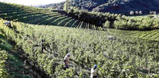 contratto di appalto Confagricoltura
