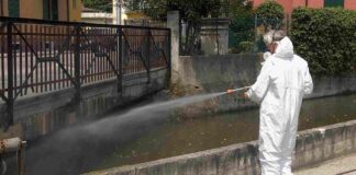 disinfestazione zanzare