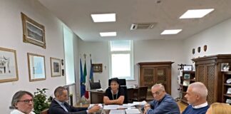 cisint minori disabilità