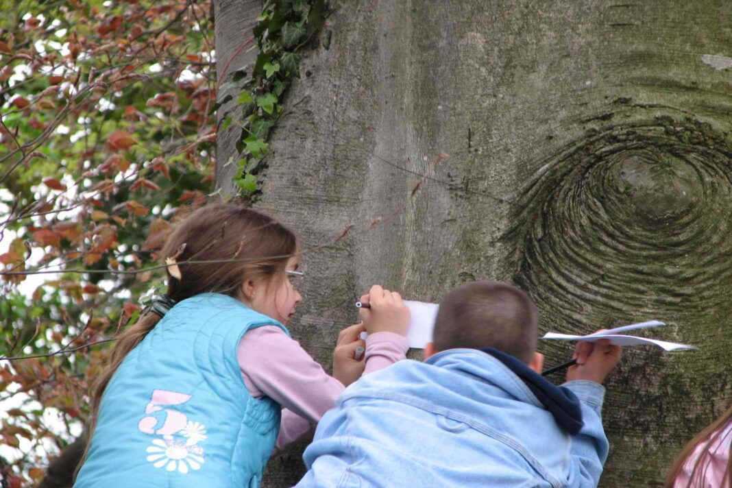 progetto foresta giusti