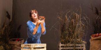 gorizia@news - abbonamenti teatro comunale cormons.jpg