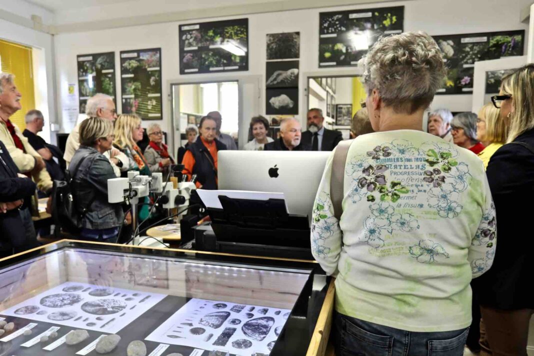 gorizia@news-museo-scienze-naturali-gorizia-museo-comel.jpg