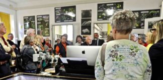 gorizia@news-museo-scienze-naturali-gorizia-museo-comel.jpg