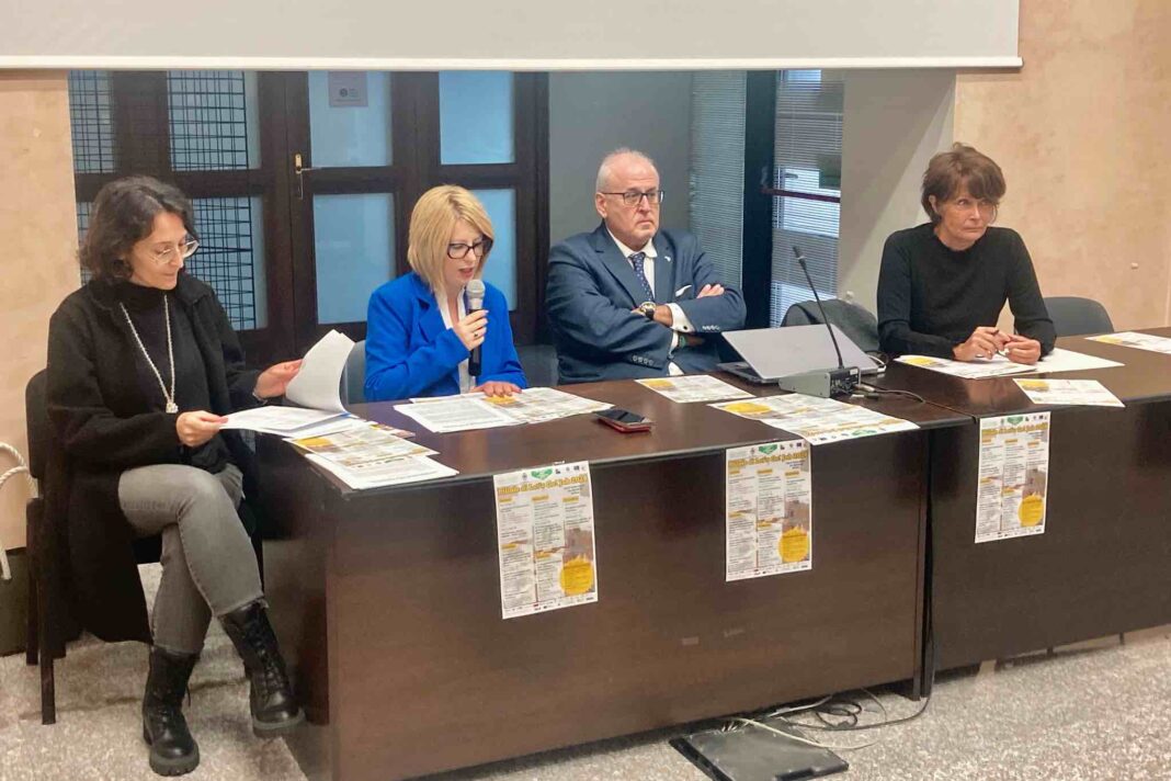 gorizia@news - recruiting day young gorizia - pillole di let's go! job 24_25.jpg