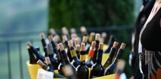 Consorzio Collio