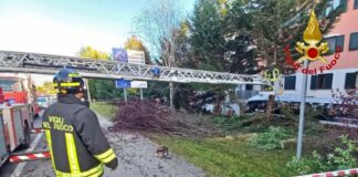 vigili del fuoco
