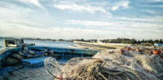 politiche UE sulla pesca