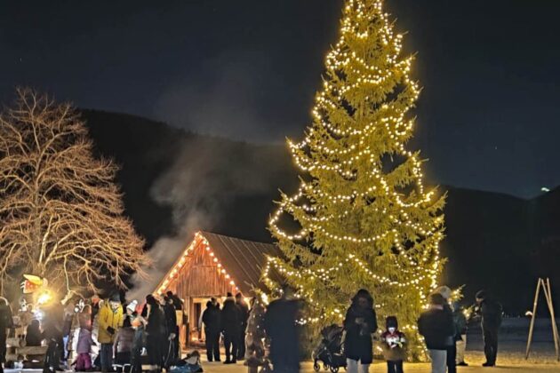 Advent Pur