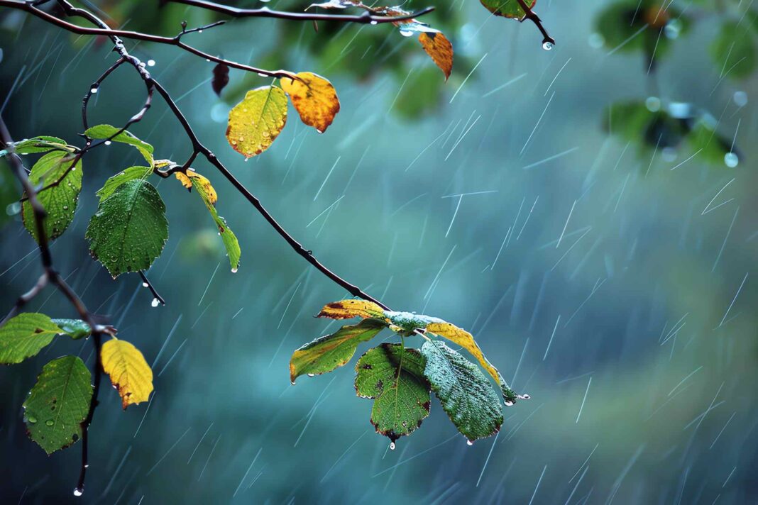 meteo friuli venezia giulia