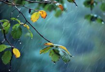 le previsioni del tempo meteo friuli venezia giulia