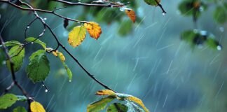 meteo friuli venezia giulia