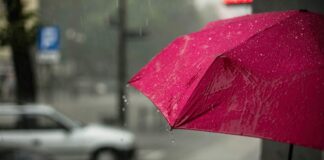 meteo