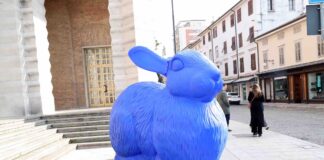 Cracking Art Gorizia 2025