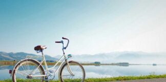 Bici è sostenibilità