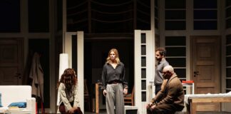 Teatro-Verdi-di-Gorizia-Vanessa-Incontrada