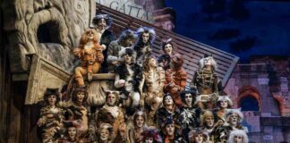 Cats