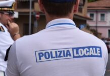 licenze mercato settimanale