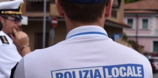 licenze mercato settimanale