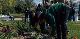 Giardino Viatori