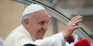 Contea papa