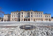 Borderless Museums