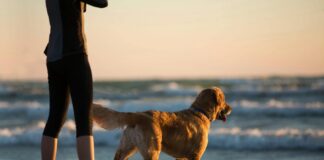 Canicross Spiaggia di Pippo