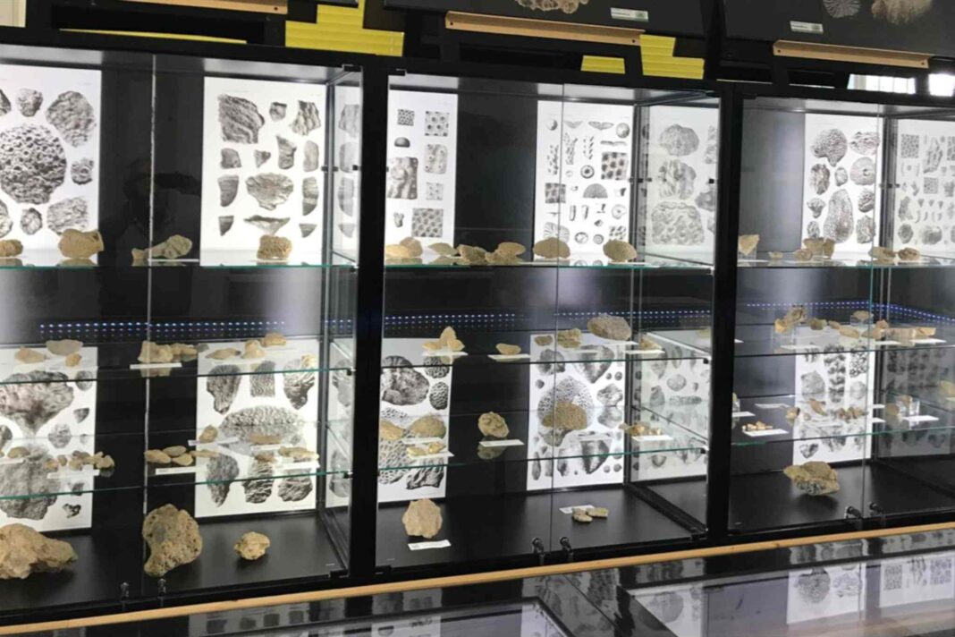 museo scienze naturali gorizia