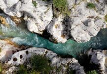 Isonzo Ziberna