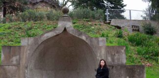 Districare un giardino