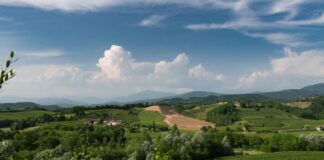 Assaggi di Collio