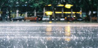 piogge, meteo, osmer