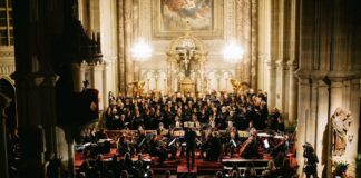 gorizia@news_IMG_ Iuvenes Harmoniae