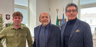 gorizia@news_IMG_Northern Light Composites