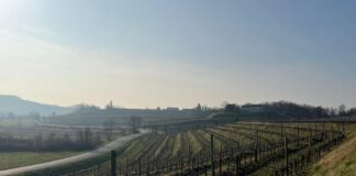 Storie di sconfinamenti