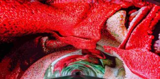 Digital Art Gallery