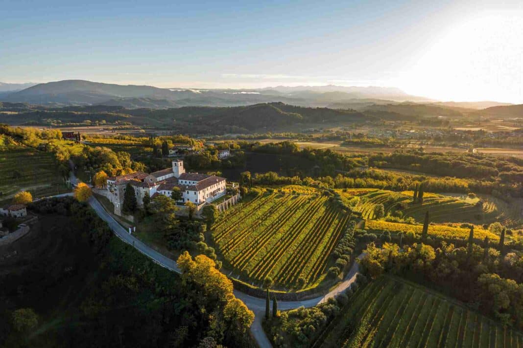 FAI un giro in vigna
