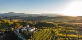 FAI un giro in vigna