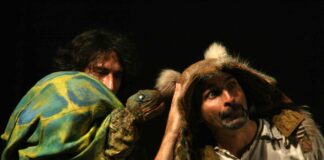 Il sogno di Tartaruga