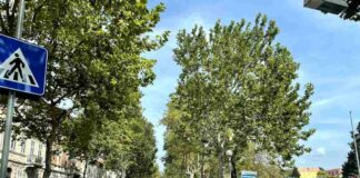 Riqualificazione di Corso Italia, pubblicata la gara per il secondo stralcio dei lavori riqualificazione di Corso Italia