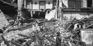 Grado terremoto