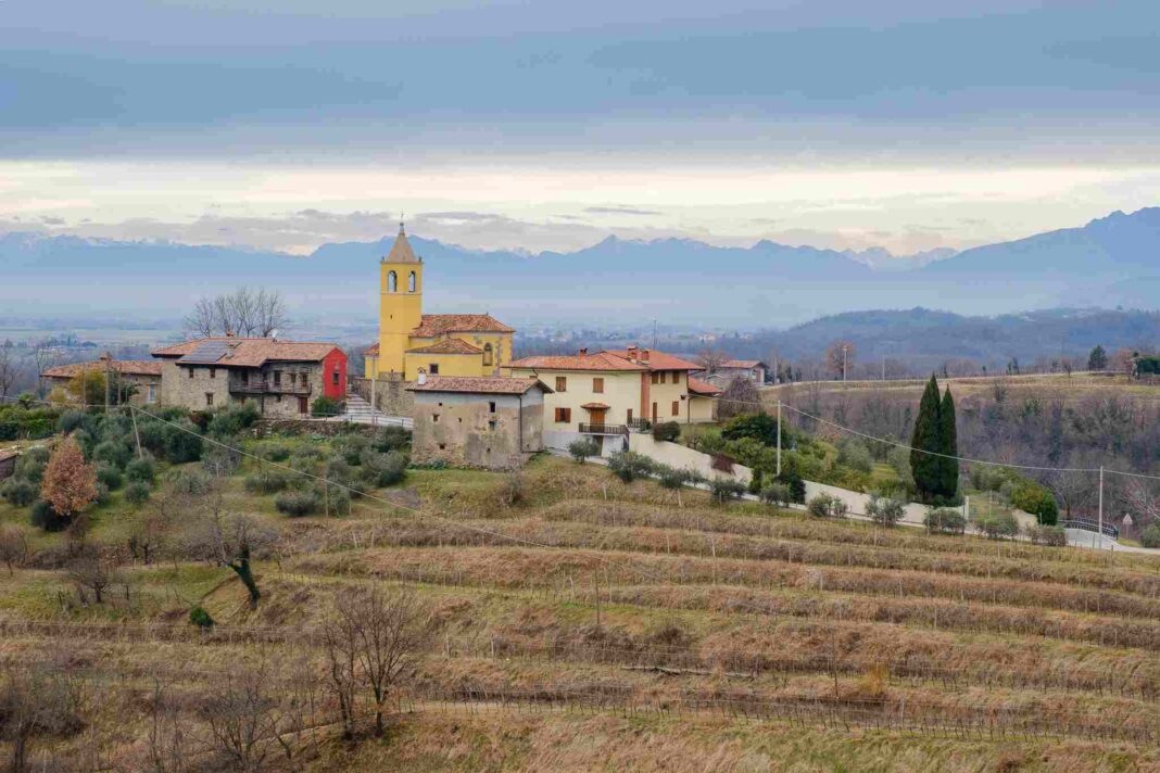 Collio Evolution