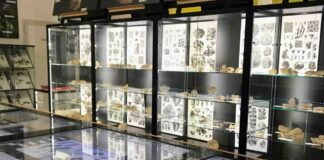 canali affreschi e scienze